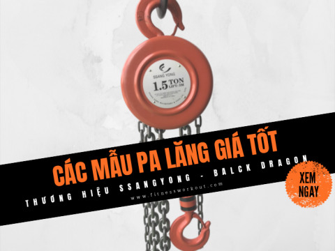 Pa Lang Gia Re Duoc Ua Chuong Nhat 2020 4